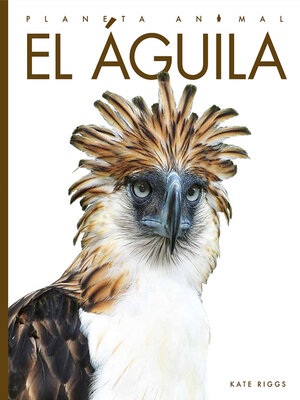 cover image of El águila